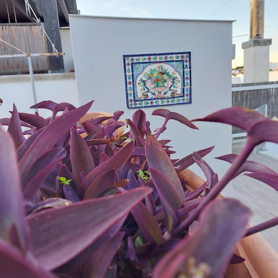 Casa Dei Filodendri Appartement San Pietro in Bevagna Kamer foto